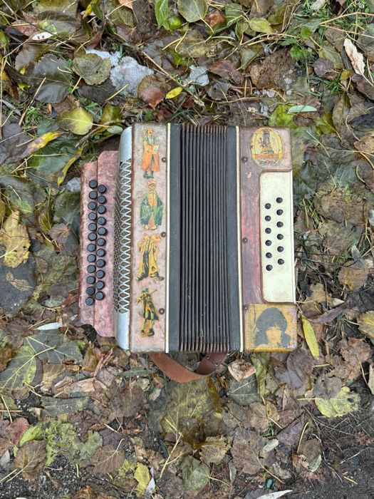 гармонь гармошка баян