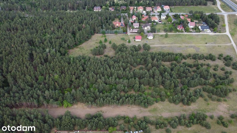 Działki budowlane przy lesie