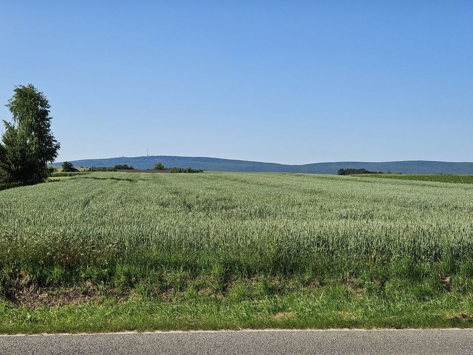 Sprzedam działkę budowlaną