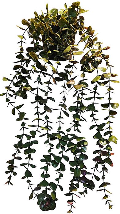 Wiszące kwiaty w doniczce 2 szt rozłożysty eukaliptus dekoracja domu