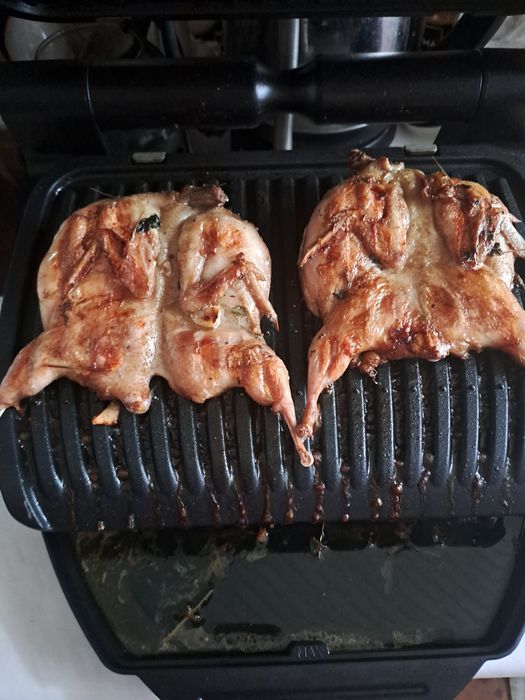 Тушки перепелів, м'ясо перепелів