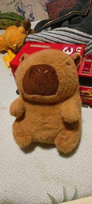 Capibara Kapibara duza