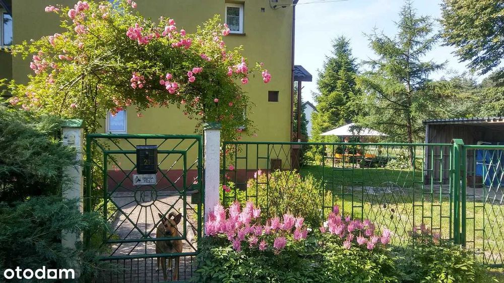 Dom w zielonej okolicy