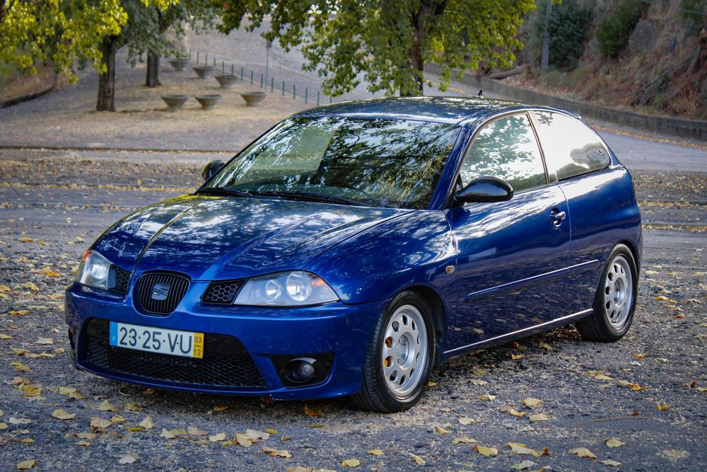 Seat Ibiza 6L PD 3xx