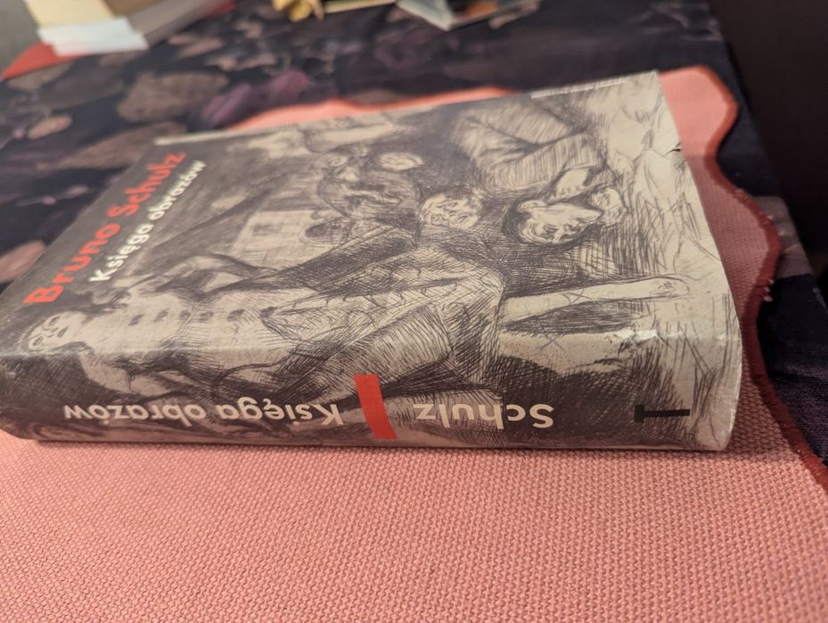 Bruno Schulz Księga obrazów książka