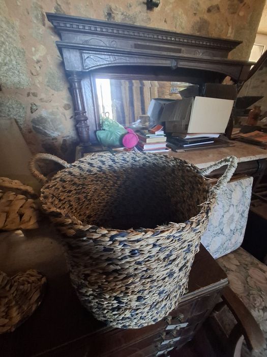 Conjunto                 Cesto com uma palmeira
