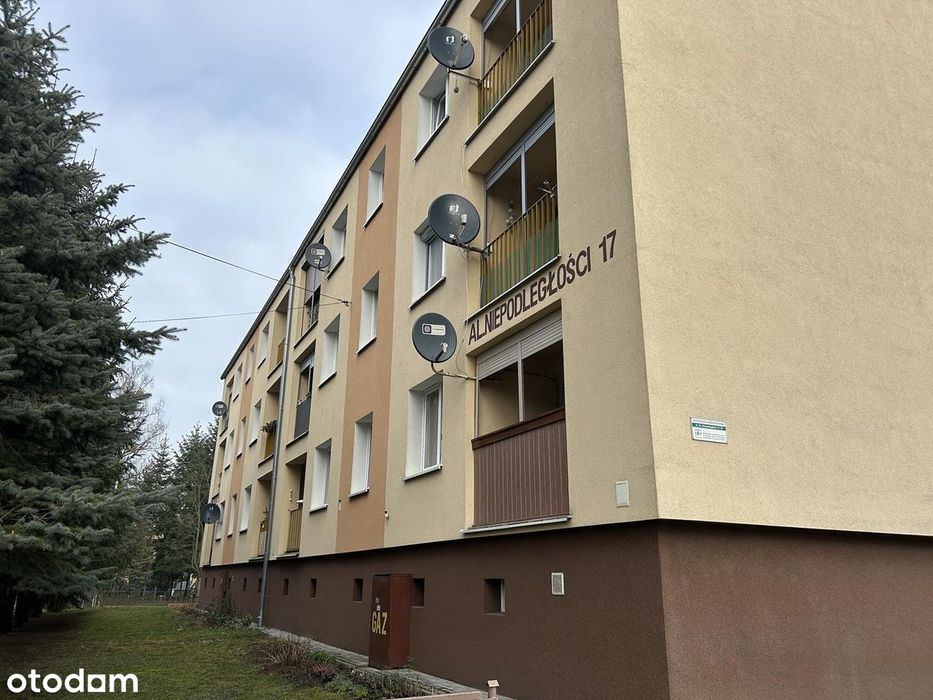 Mieszkanie, Sulechów