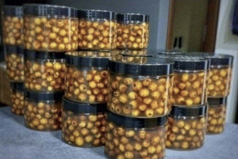 2 pudełka orzech tygrysi przynetowy XXL