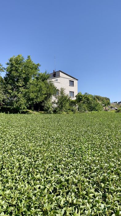 Продається будинок в центрі с.Бродецьке