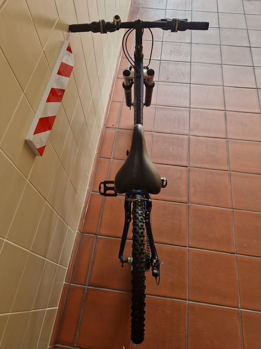 Bicicleta de montanha "Berg", modelo Stuka, azul