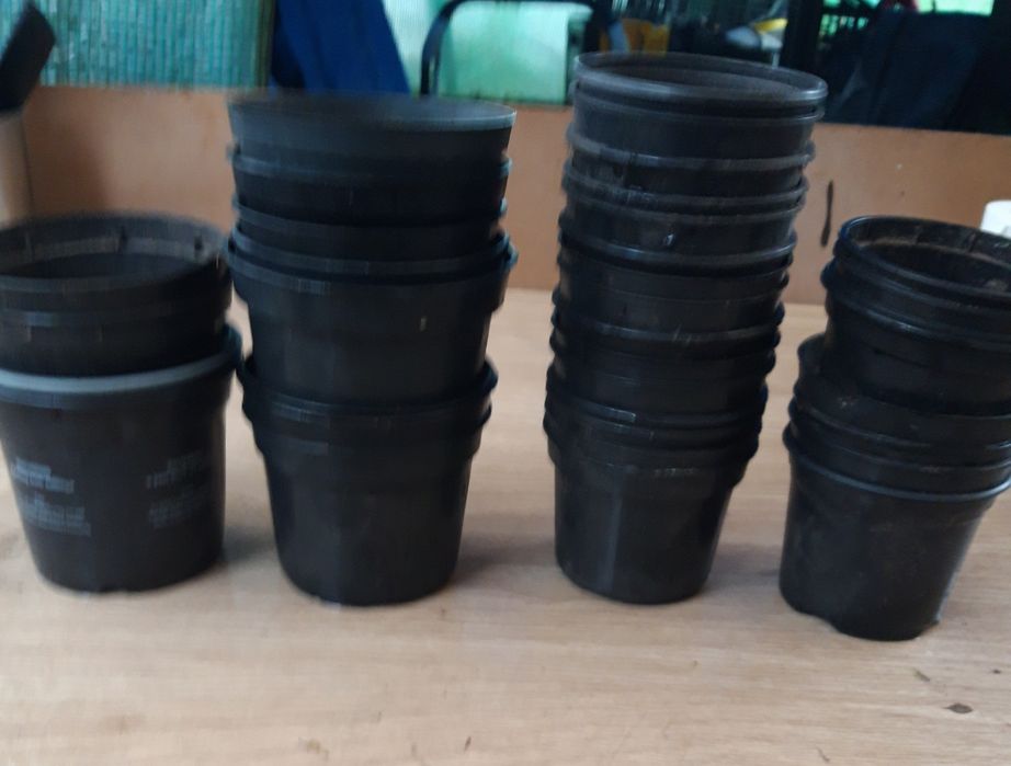 Doniczki do sadzonek.