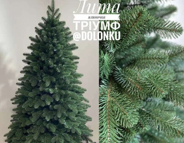 Ялинка лита Тріумф