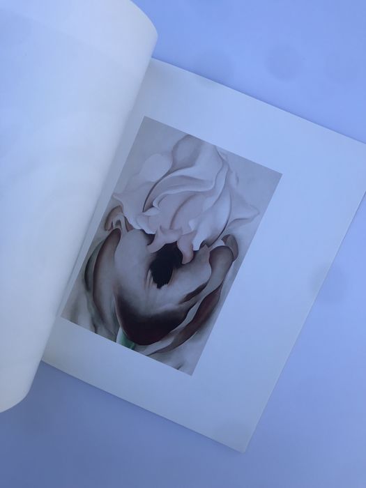 Livro sobre pintura de Georgia O’Keffe