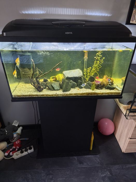 Akwarium 120 l wraz z wyposażeniem