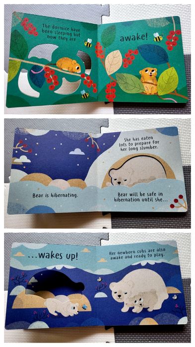 Wake Up Little Nature książka sensoryczna po angielsku spring english