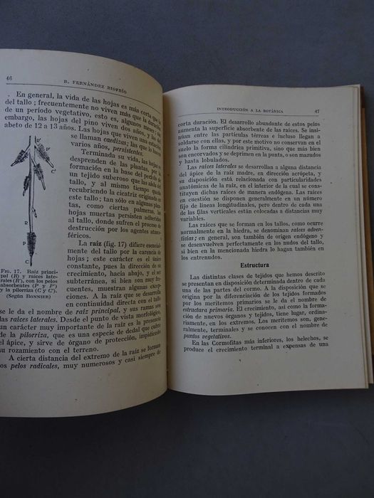 Livro Introdução à botânica Introduccion Botânica B. Fernandez Riofrío