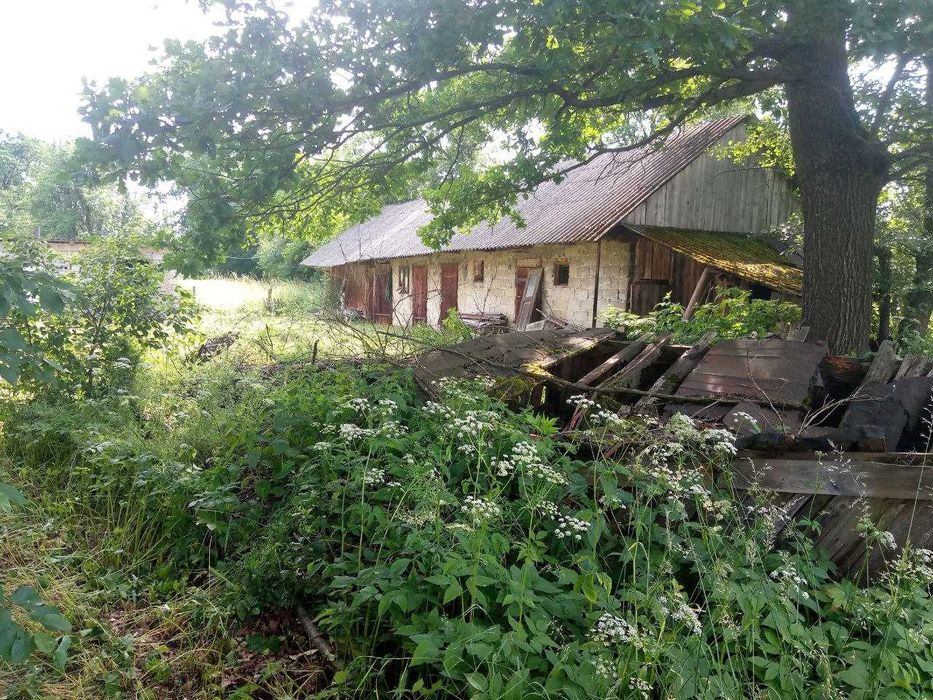 Будинок з земельною ділянкою