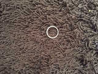 anel fininho prateado