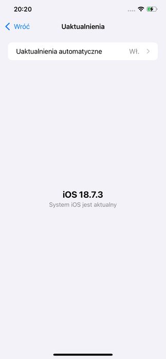 iPhone XS Max 256 GB