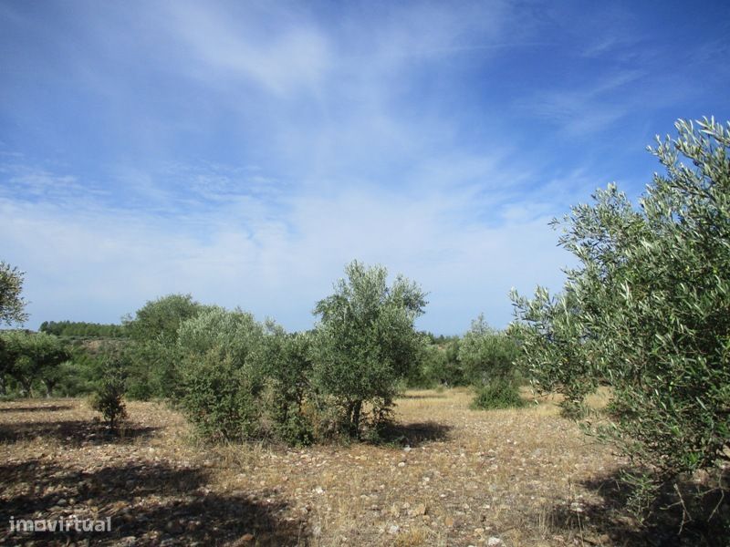 Terreno — Malpica do Tejo, Castelo Branco