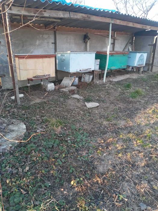 Продаються вулики з бджолиними сім'ями. Не пересилаю