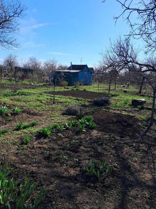 Павлоград продам дачний участок