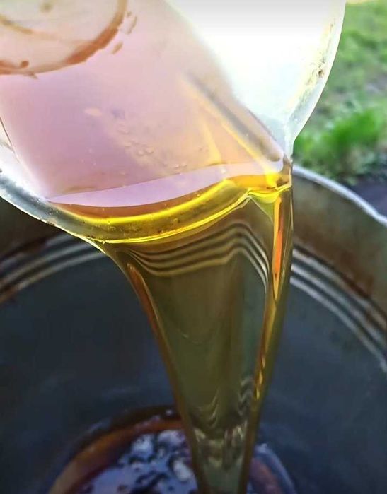Соняшникова Олія (ГІРКА, НЕКОНДИЦІЯ)