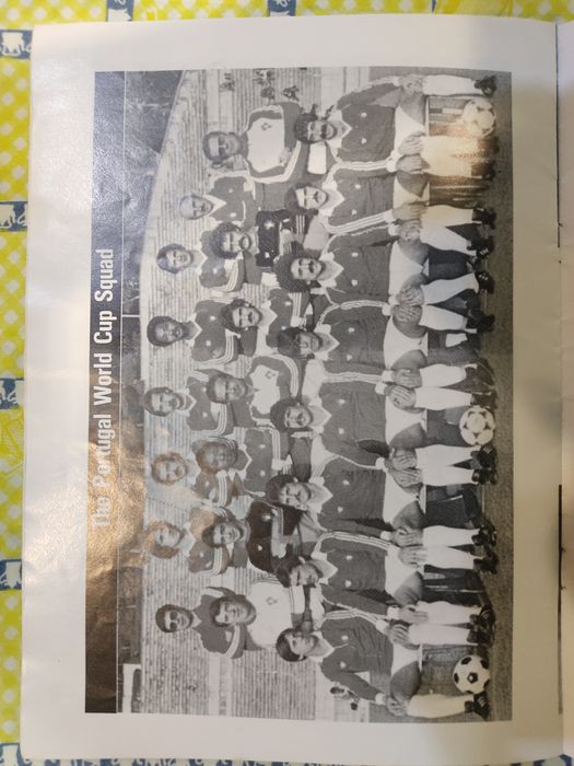 Programa Irlanda do norte Portugal 1981