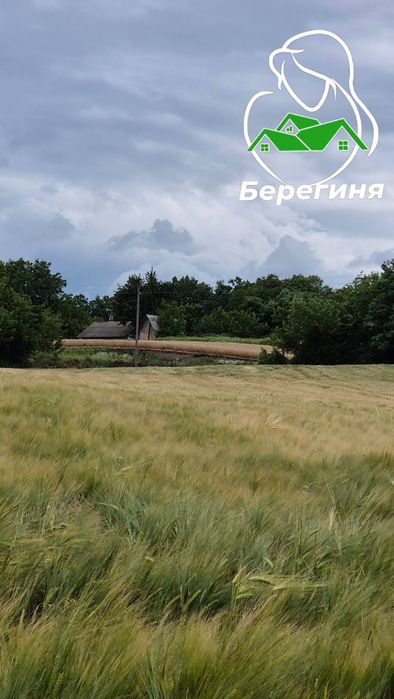 Продається земельна ділянка в с. Красюки Білоцерківського району Київська область