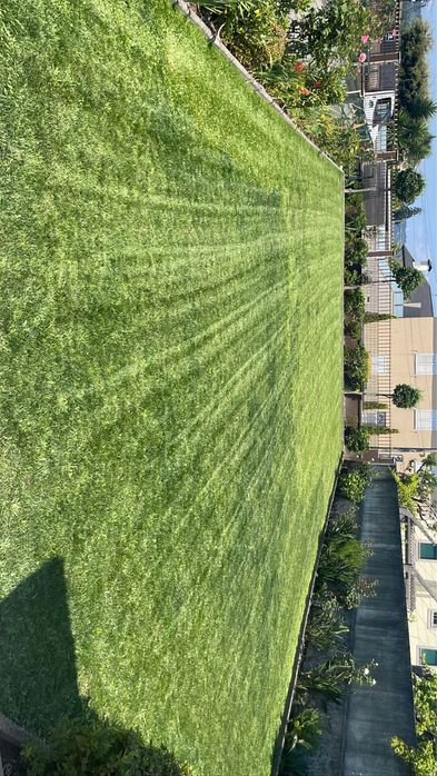 Serviços de jardinagem e limpeza de terrenos.