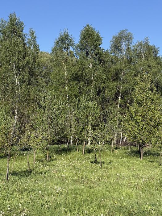 Власний котедж замість тісноі квартри і це все в межах Львова