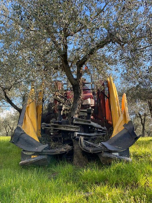 Vibradores para Azeitona e Amêndoa