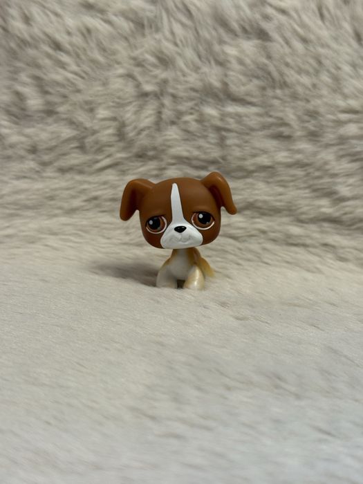 Figurka PIES BOKSER #25 Littlest Pet Shop LPS Hasbro