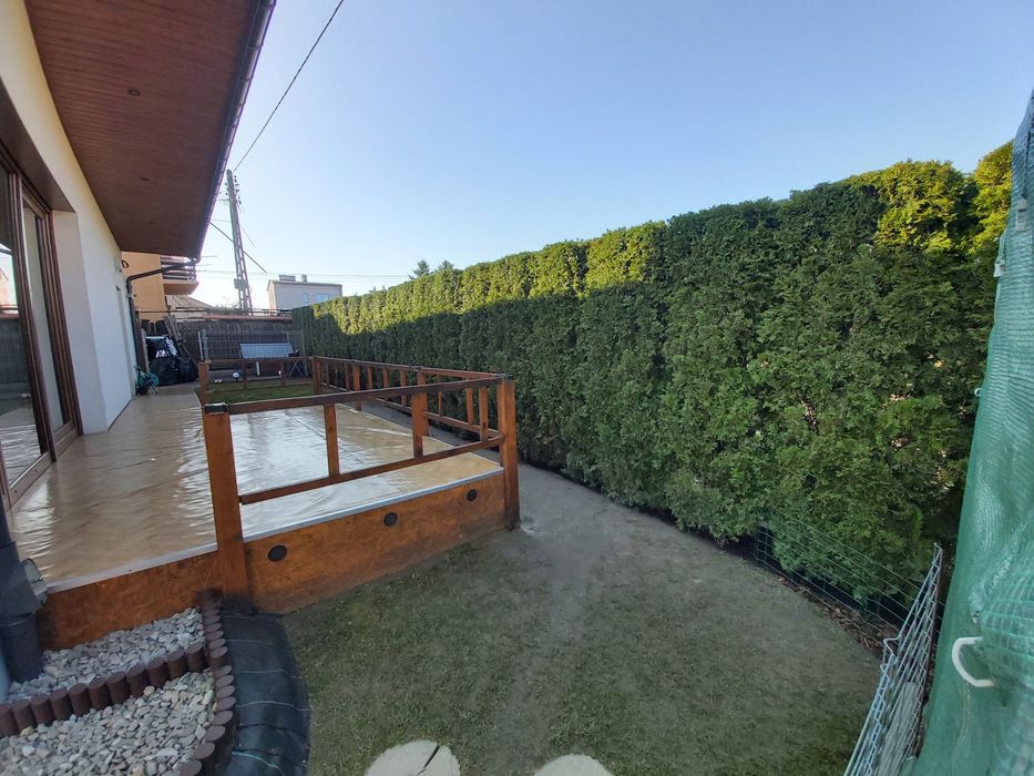 Przycinanie krzewów