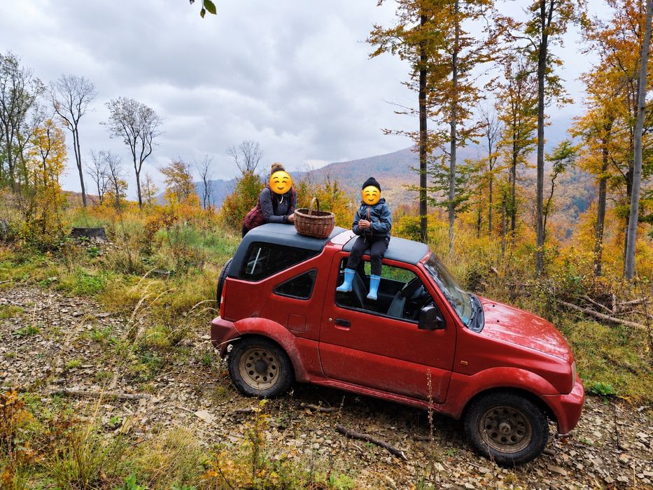 Suzuki SJ