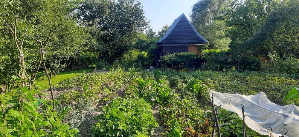 Sprzedam działkę na Ogródkach Działkowych Hutnik ul. 17 Stycznia Jasło