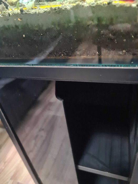 Aquário 40 com móvel