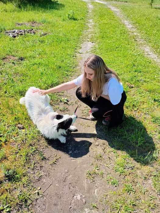 Gero wypatruje kochającej rodzinki