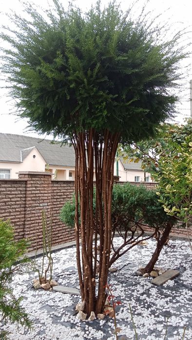 Садівник. Озеленення та ландшафтний дизайн.