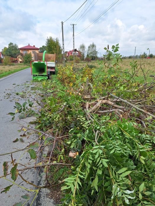 Usługi rębakiem, wycinka drzew, frezowanie pni wynajem, dowóz, darmowa