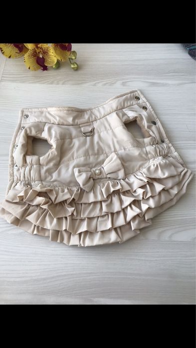 Одежда для собак