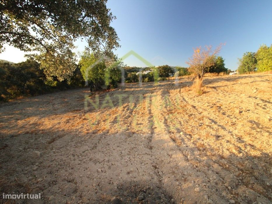 Terrenos Rústicos de Vistas Panorâmicas em Mesquita, São Brás de Al...