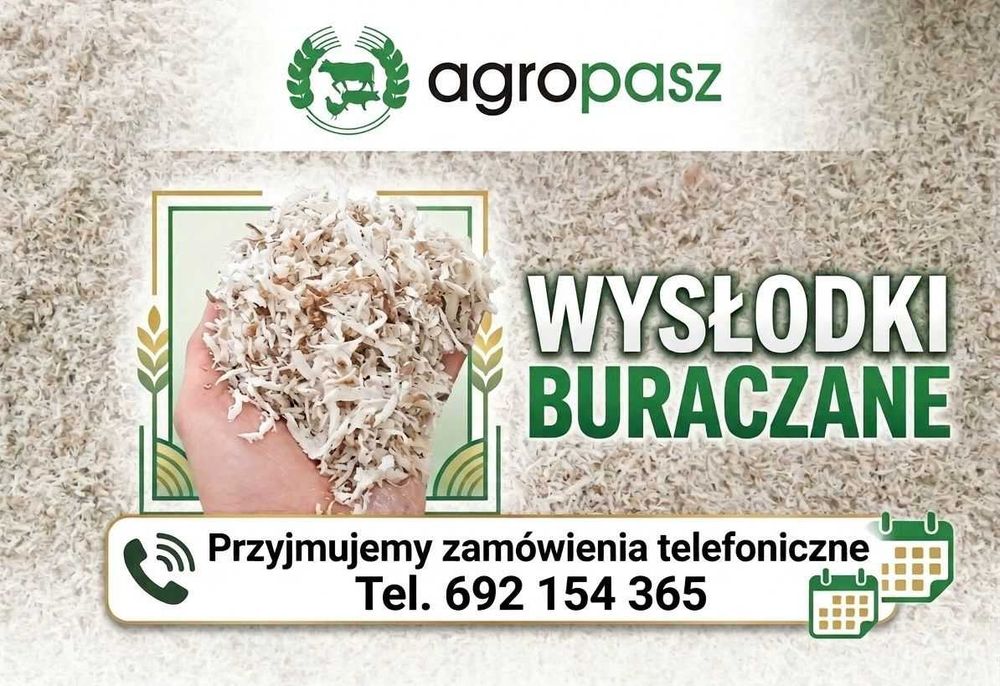 Wysłodki buraczane mokre pasza