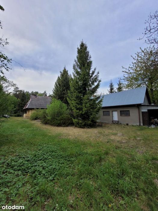 Kazimierz Dolny okolice | cena 690 tys.| duża działka z lasem