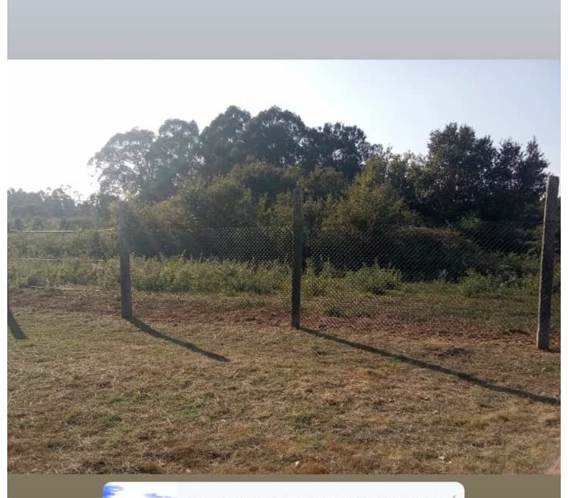 Executamos trabalhos de limpeza de terrenos e jardinagem