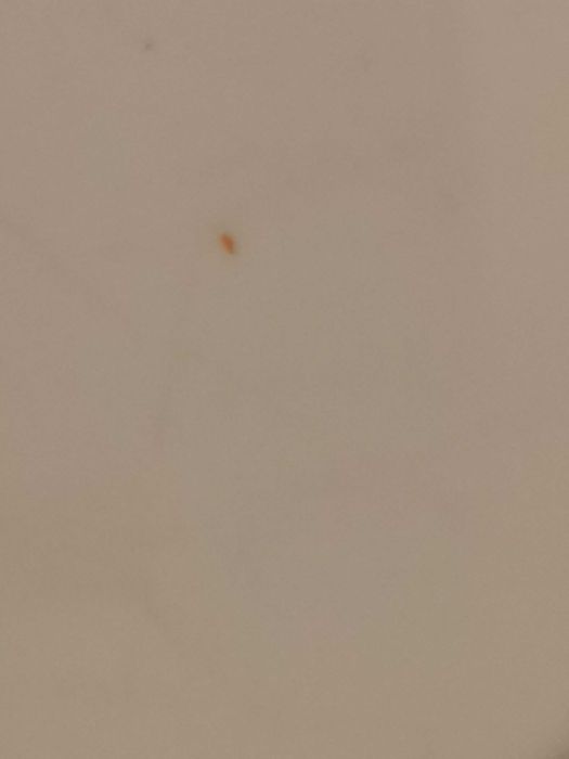 Stare filiżanki z melaniny sygnowana Waca 1820