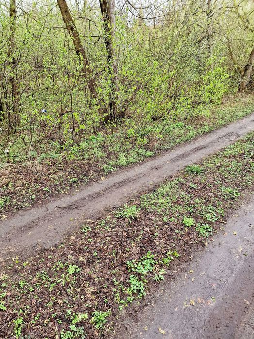 Działka budowlana Milanówek - Widok 5