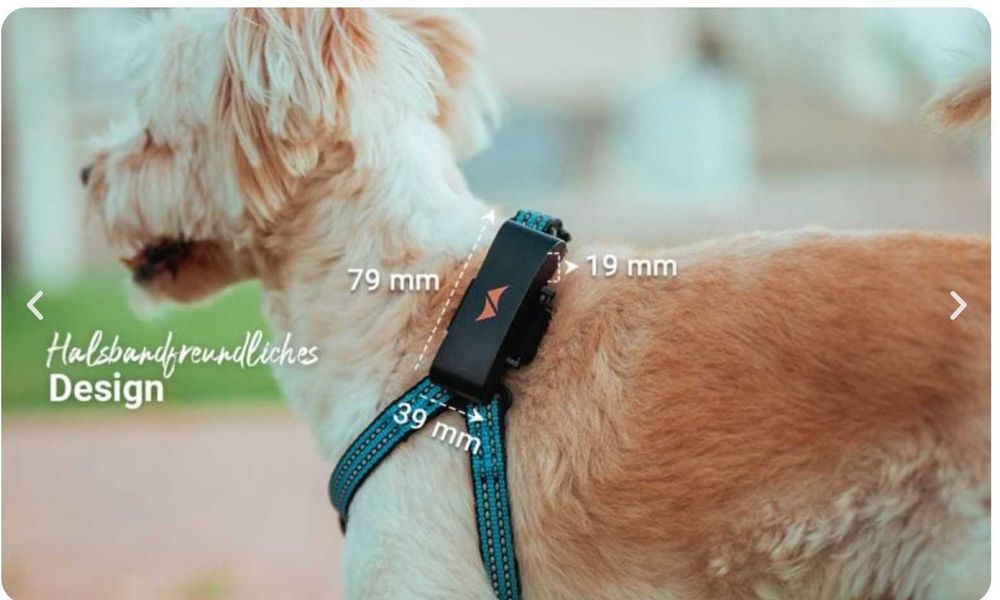 Трекер для животных (собак) PAJ PET FINDER GPS 4g