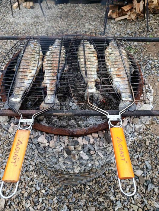 Відпочинок в Карпатах