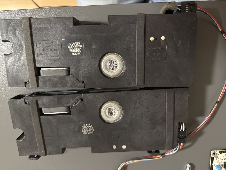 Komplet głośników telewizora LG 55CX3LA